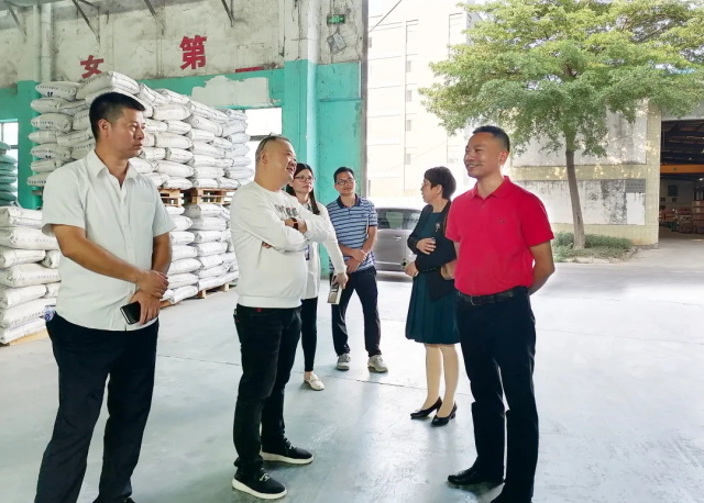 廣東撸撸影视下载