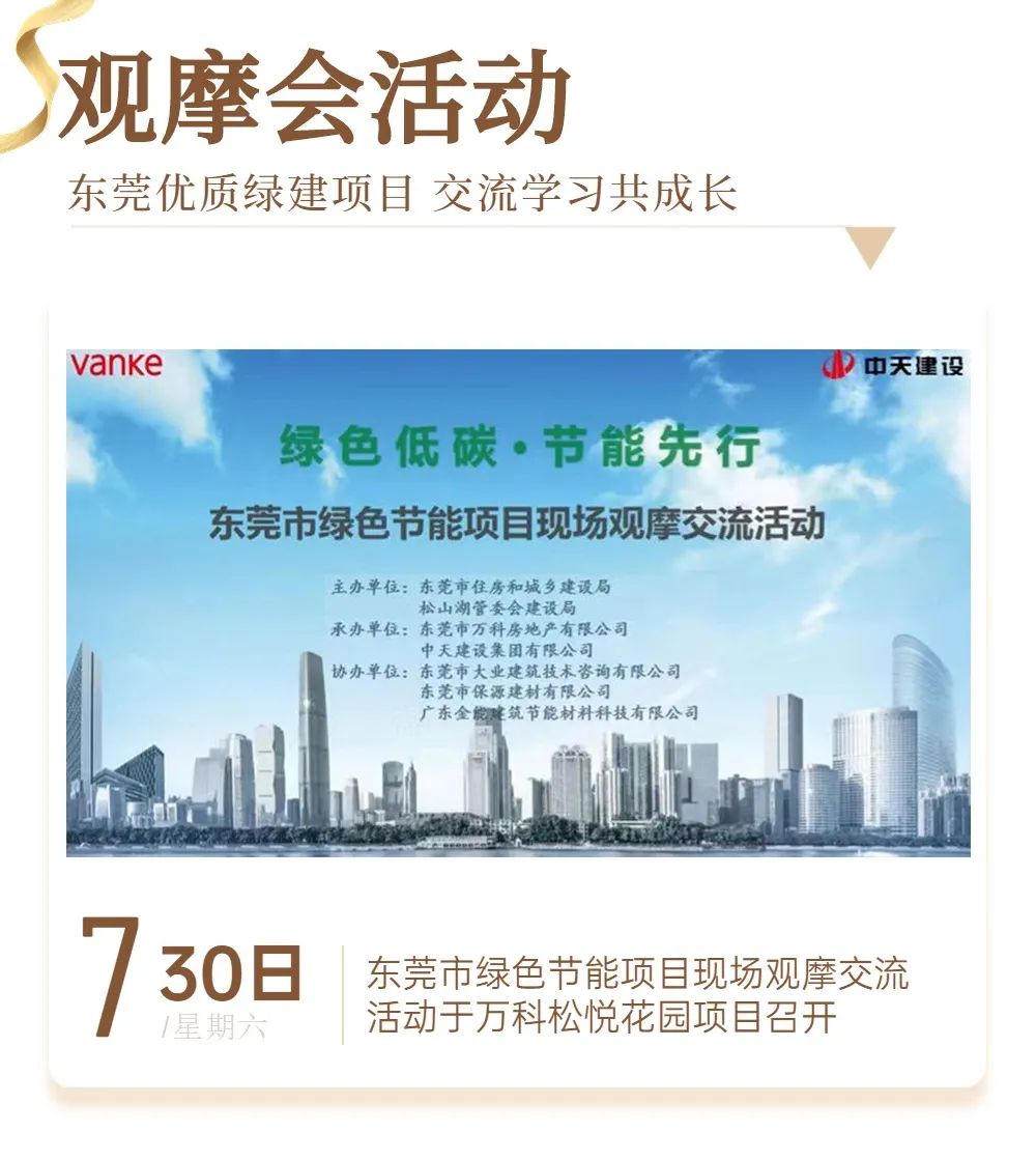 撸撸影视下载資訊｜ 13載砥礪奮鬥 撸撸影视下载發展正當時